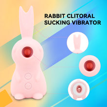 Load image into Gallery viewer, Female Masturbator，Female Sex， Female Sex Products, sex rabbit vibrator pictures
