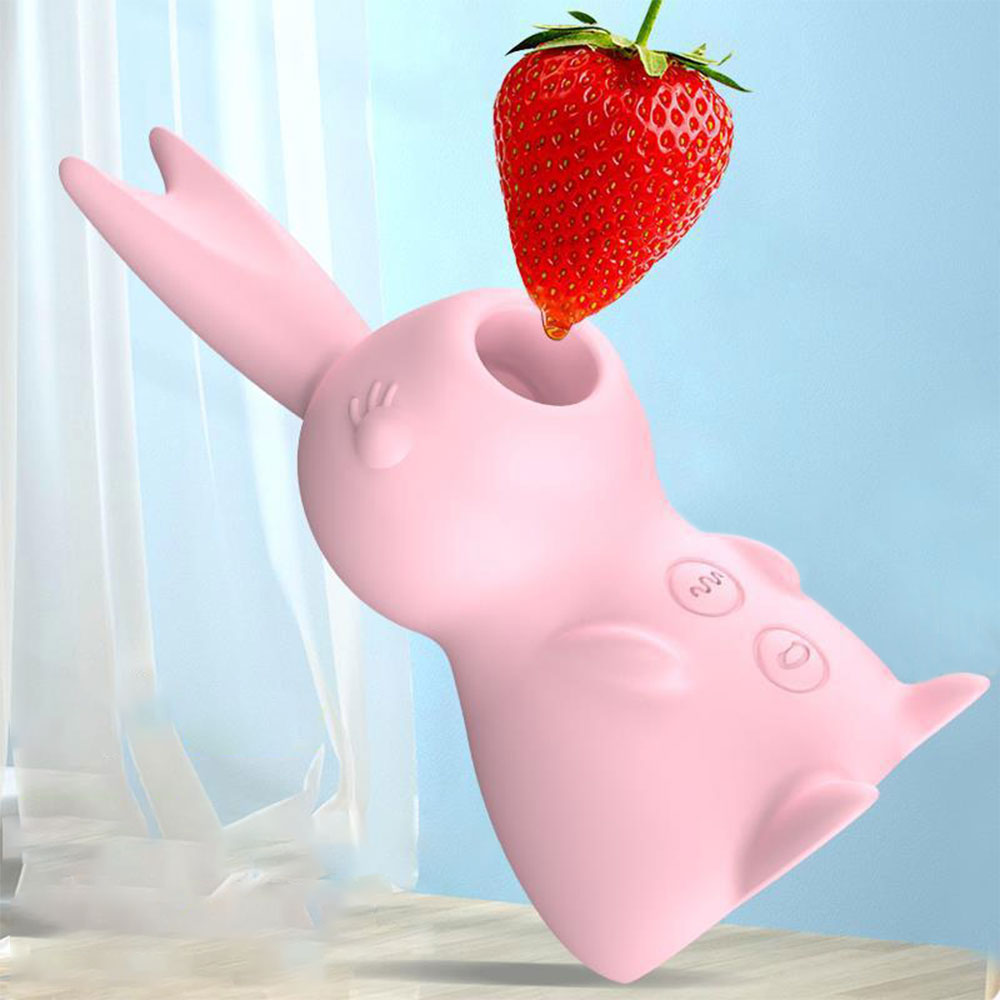 Rabbit Sucking Vibrator，clitoral suction toy