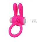 Twin Teaser Vibrating Cock Ring - [yiwa_sex toys], cock rimg